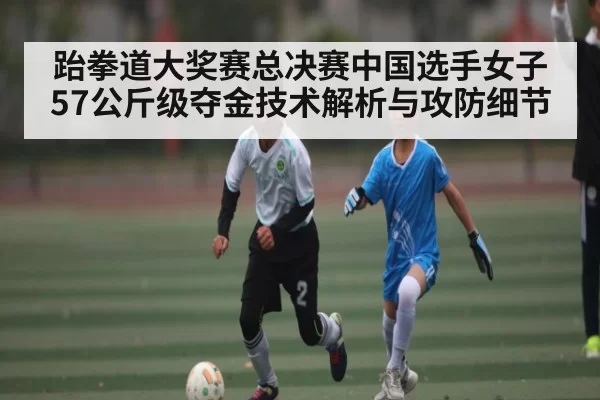 跆拳道大奖赛总决赛中国选手女子57公斤级夺金技术解析与攻防细节（NG28）